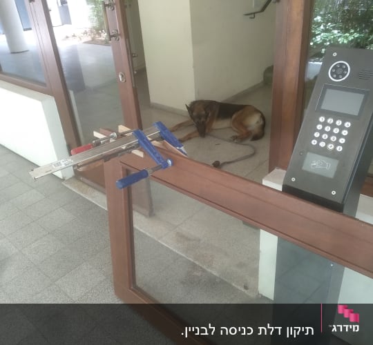 מסגרת עץ עם מהדקים לעבודת נגרות